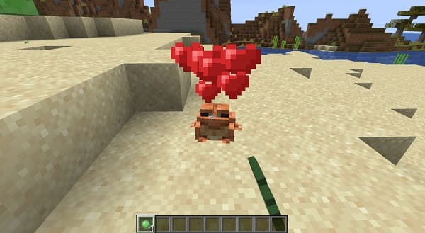 [No focus keyphrase provided - please provide one for optimal SEO.]