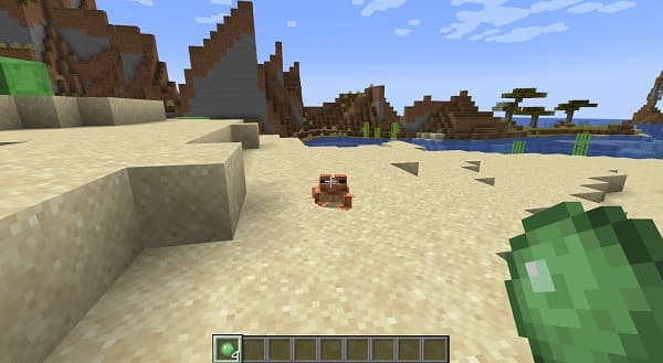 Empty white wall with a wooden floor.