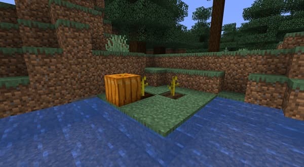 A person taking a picture of a phone screen with a camera.