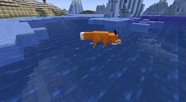 Empty wooden display shelf with shadows.