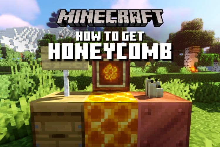 How to Get Honeycomb in Minecraft