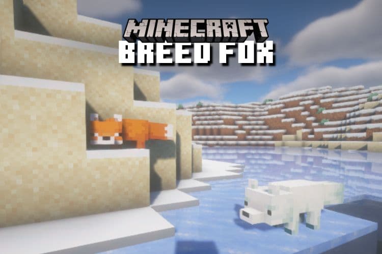 How to Breed and Tame a Fox in Minecraft &#8211; Easy Guide