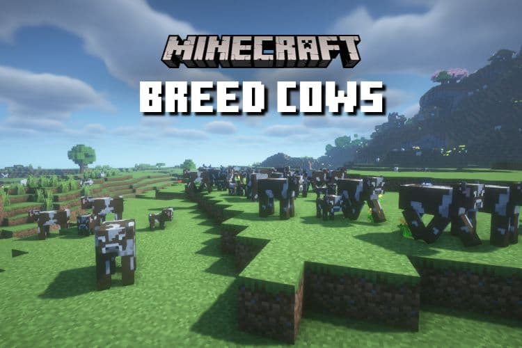 How to Breed Cows in Minecraft &#8211; Farm Guide