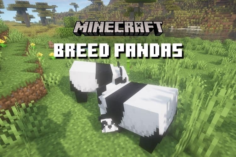 How to Breed Pandas in Minecraft &#8211; Gene Guide