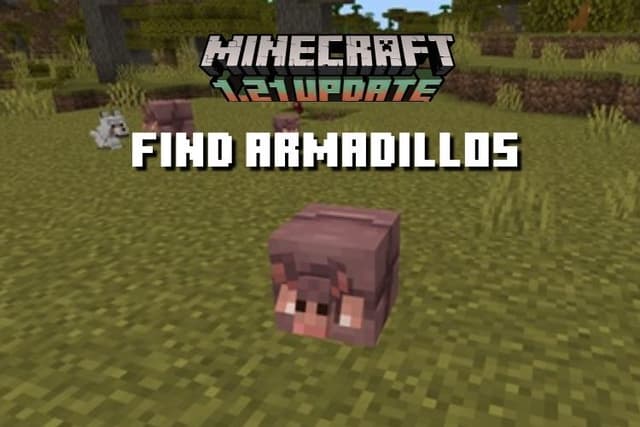 Find Armadillos Minecraft 1.21: Easy Guide