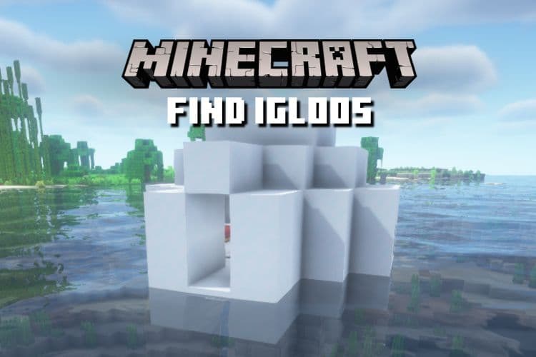 How to Find Igloos in Minecraft (5 Simple Methods)