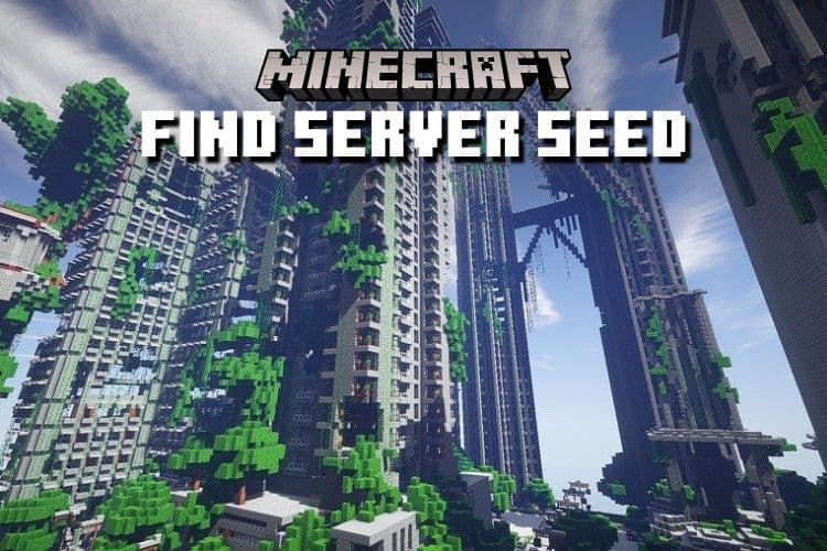 How to Find the Seed of a Minecraft Server in 2024