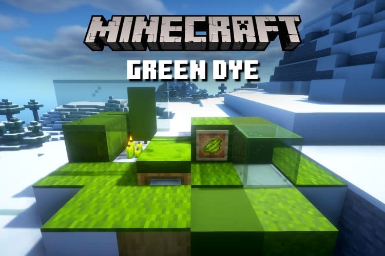 How to Get Green Dye in Minecraft