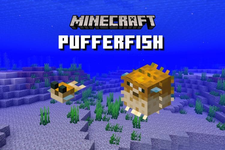 How to Get Pufferfish in Minecraft (Safely)