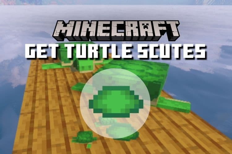 How to Get Scutes in Minecraft &#8211; Easy Guide