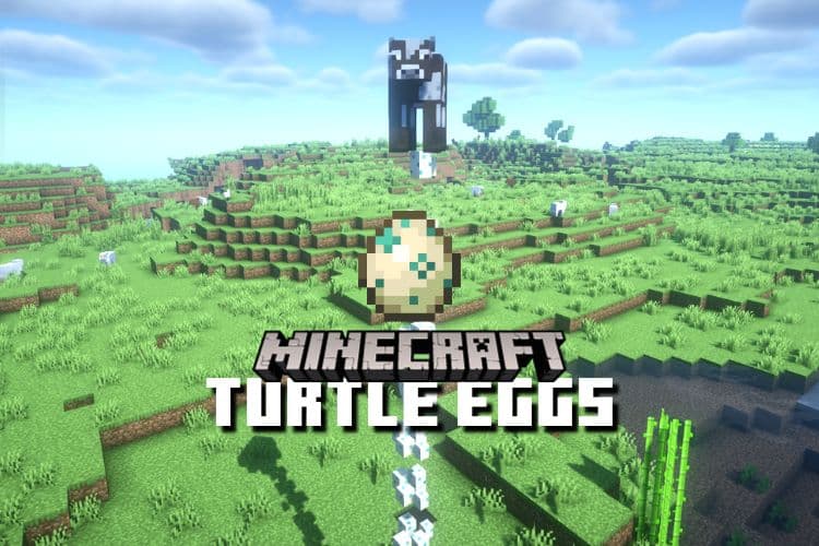 How to Get Turtle Eggs in Minecraft &#8211; Easy Guide