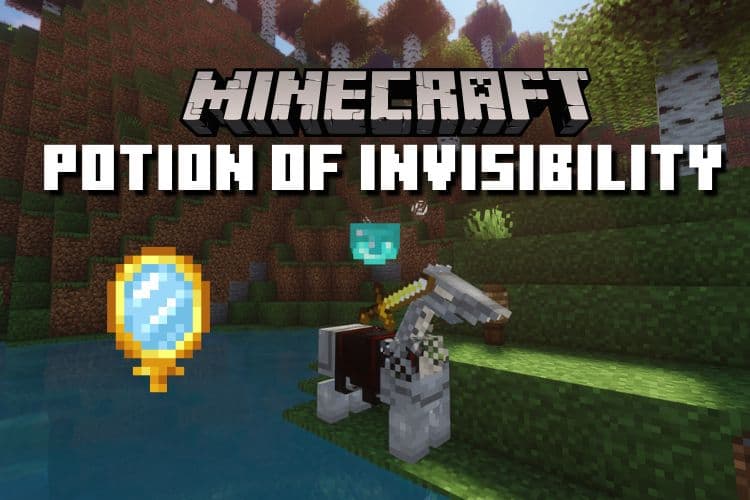 Minecraft Invisibility Potion: Make Yours Now!