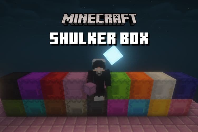How to Make a Shulker Box in Minecraft (2024)