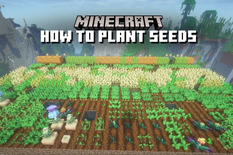 How to Plant Seeds in Minecraft &#8211; Complete Guide for All Crops