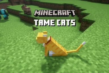 Tame Cat Minecraft: Complete How-To Guide