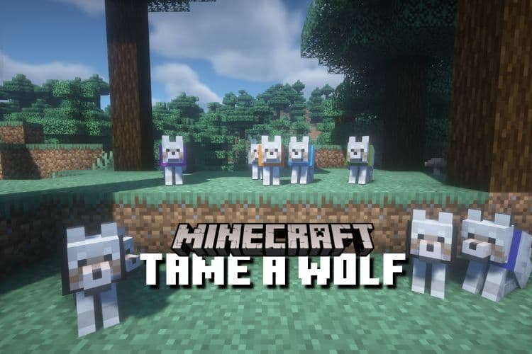How to Tame a Wolf in Minecraft &#8211; Easy Guide