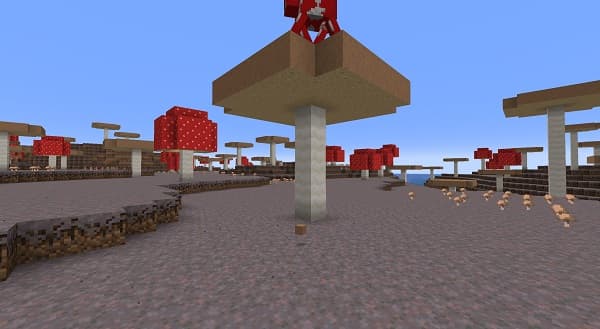 A black cat stretching with its back to the camera.