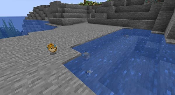 Image has no labels, please provide the image or its description.