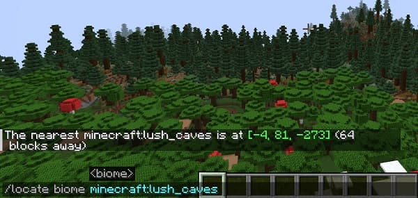 Blank white background.