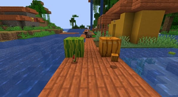 A blurry image of green leaves and sunlight.