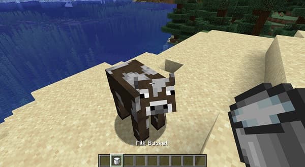 An empty white wall, perfect for showcasing art.