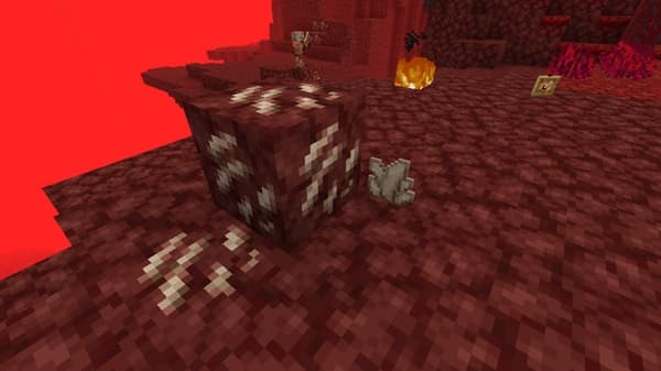 A beautifully plated gourmet meal, ready to be enjoyed.