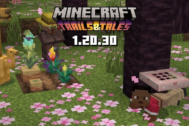 Minecraft Bedrock 1.20.30 &#8211; Everything You Need to Know