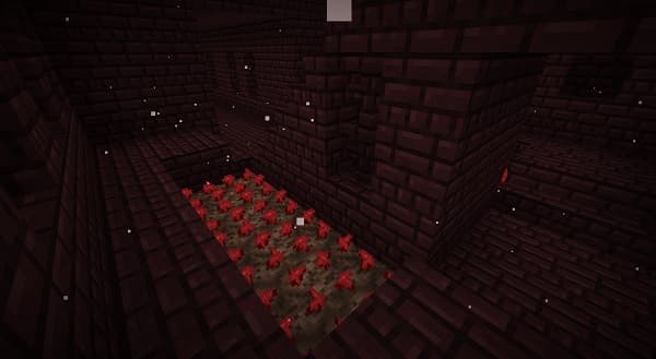 No image provided to generate alt text. Please provide an image or a description of the image.