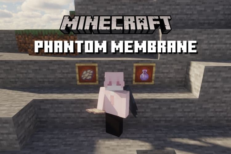 How to Get and Use Phantom Membrane in Minecraft