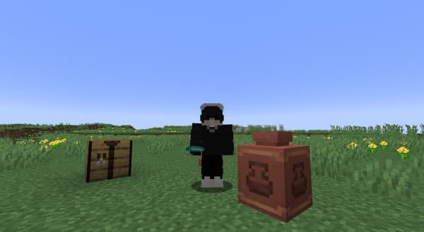 A close-up of a vibrant, healthy green plant, possibly a houseplant, thriving in natural light.