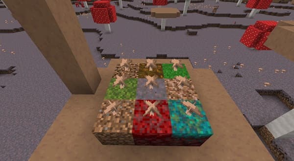 Man smiling and typing on a laptop with a green houseplant on his desk.