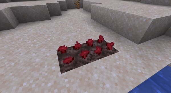 Young boy with dark hair and a light blue shirt smiles while looking at the camera.