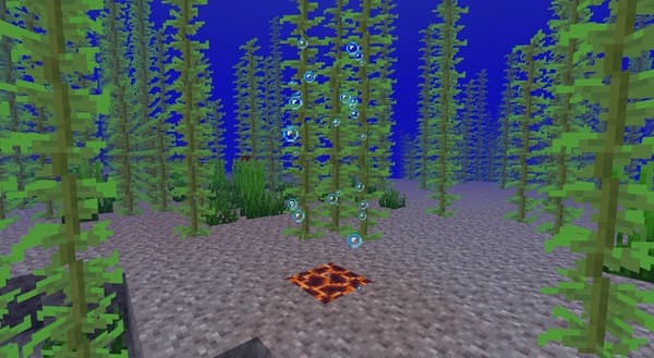 A close-up of a vibrant pink flower with yellow stamens, blooming in a garden.