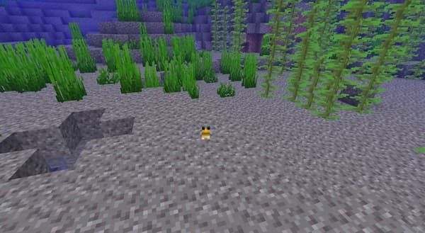 Red and white flowers blooming in a sunny garden.