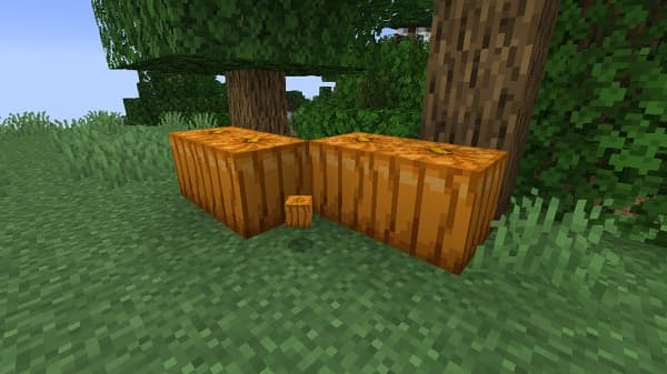 A person's hands holding a green plant seedling in soil.