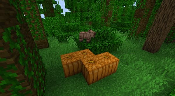 Young professional woman in office working on a laptop.