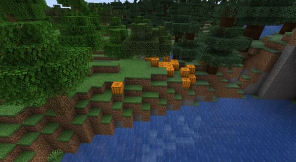 White porcelain plate on a minimalist dining table.