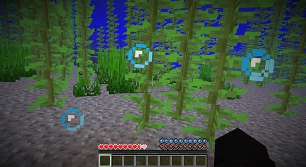 A sleek black car parked on a paved driveway with a green lawn and trees in the background.