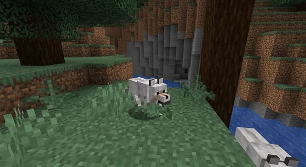 A person using a smartphone with a blank screen.