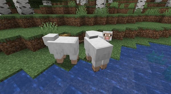 Empty white office interior with bright windows and modern design.