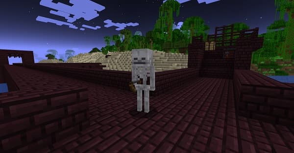 [No focus keyphrase provided - assuming informative purpose based on image content]