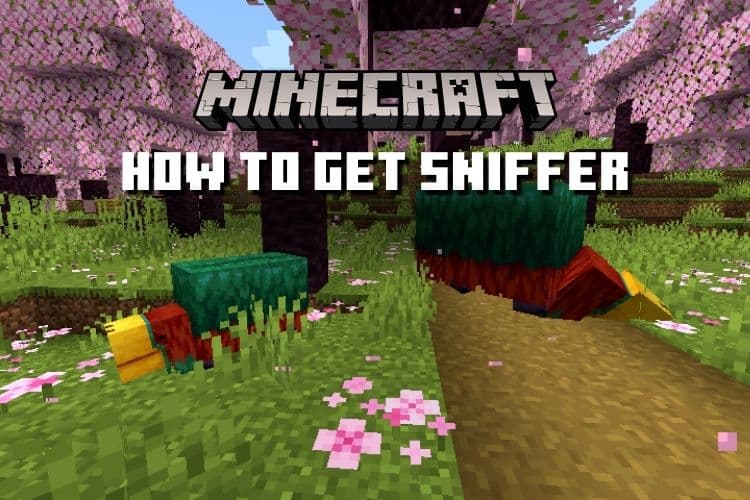 Sniffer in Minecraft 1.20: Everything You Need to Know