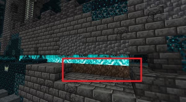 A close-up of a vibrant green plant with delicate leaves, possibly a houseplant or ornamental shrub.