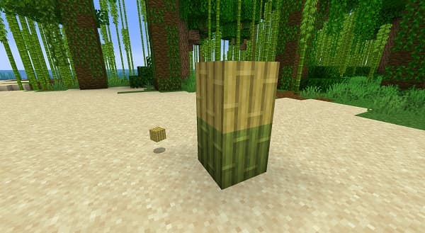 Empty warehouse with concrete floor.