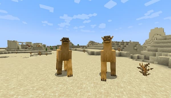 Empty office cubicle with a desk and chair.