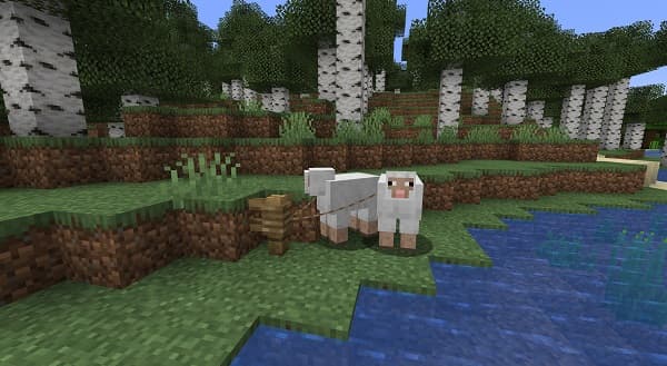 Breed Sheep Minecraft: Easy Breeding Guide