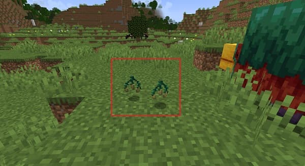 An empty room with a window and a wooden floor.