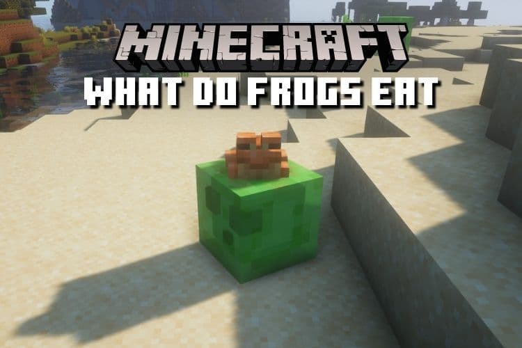 What Do Frogs Eat in Minecraft 1.20