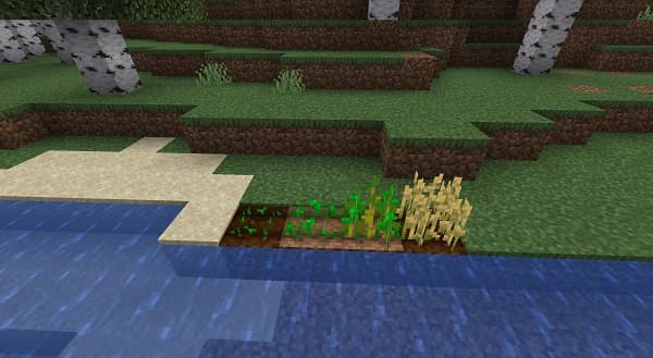 A white car driving on a snowy road through a forest.