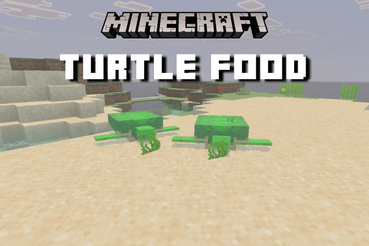 Minecraft Turtle Food: What Do They Eat to Nest?